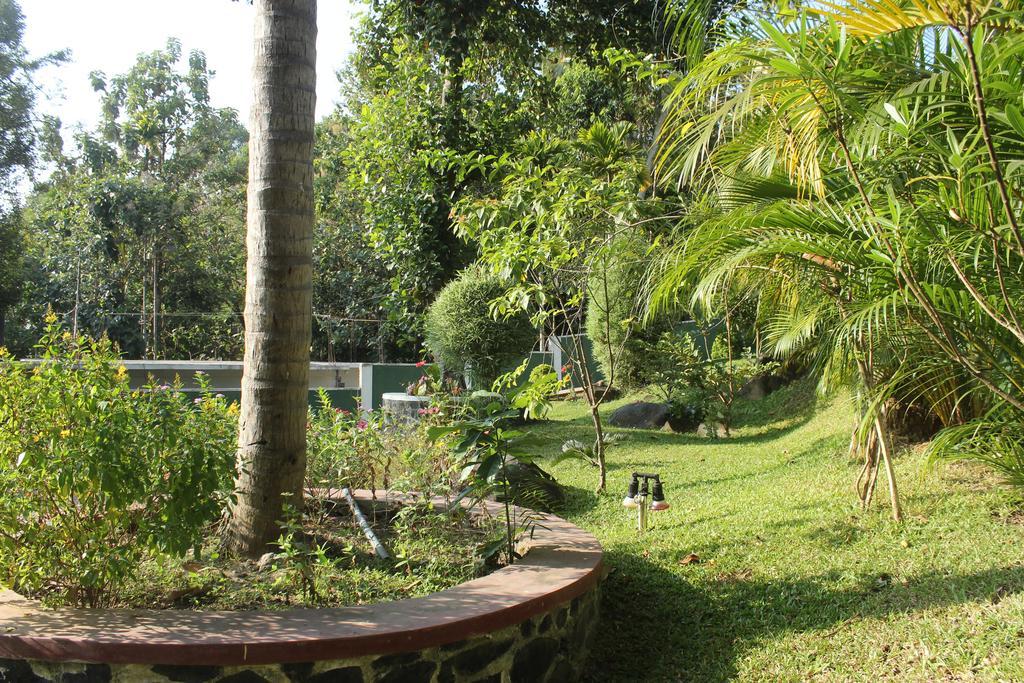 Green View Holiday Resort Kandy Exterior foto